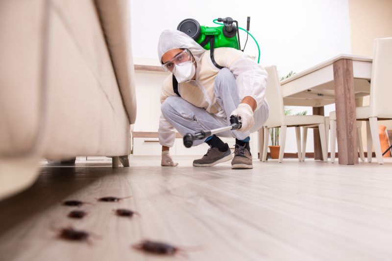 Local Pest Management Services